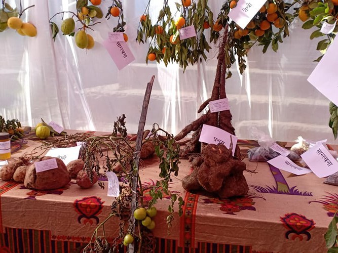 राम्रो उत्पादन गरेका कृषकलाई कृृषि मेला मार्फत पुरस्कृत